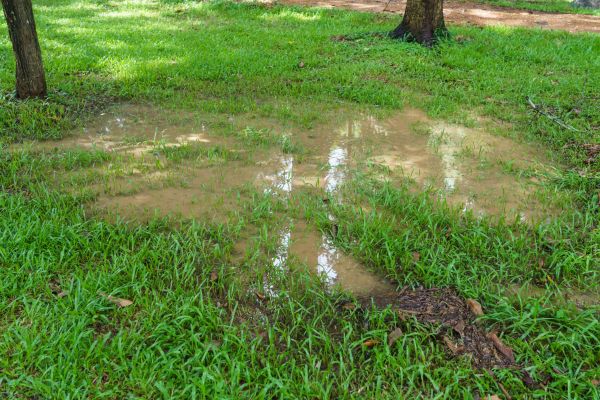 Storm Water Drainage Service in West Lafayette