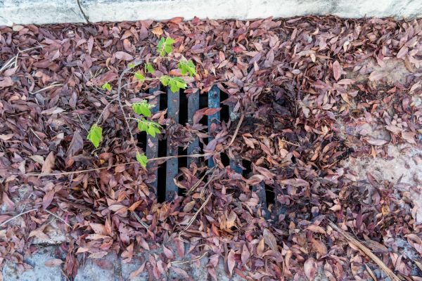 Yard Drain Unclogging in West Lafayette