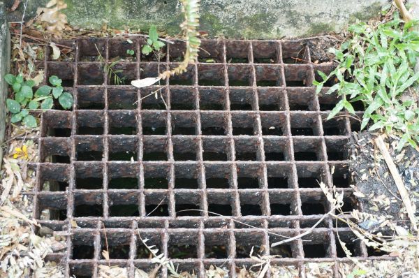 Yard Drain Cleaning in West Lafayette