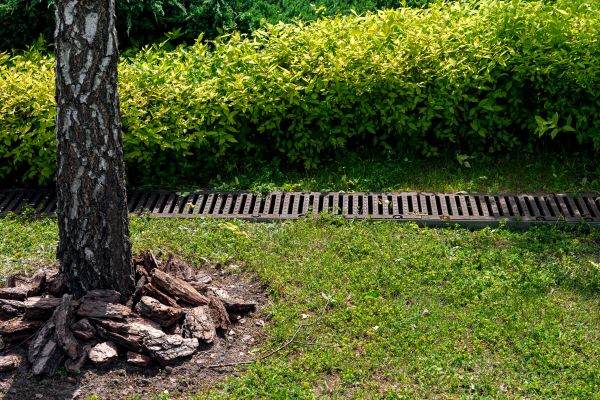 Garden Drainage Installation in West Lafayette