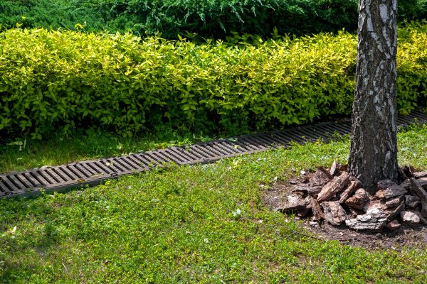 Residential Landscape Drainage in West Lafayette